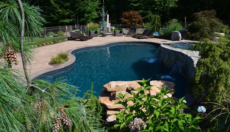 Easy Maintenance Landscaping Ideas for Around the Pool - Latham Po