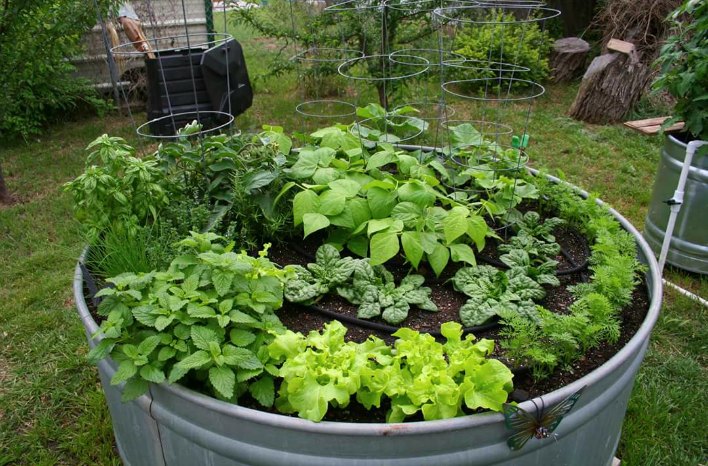 Raised Bed Garden from A - Z | What to Know | joe gardener