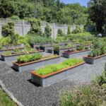 Patio Garden Beds on Concrete or Gravel? Yes! - Durable GreenB