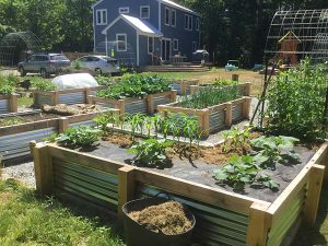 Bulletin #2761, Container Gardening Series: Gardening in Small .