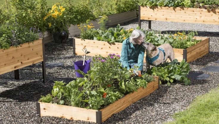 Guide to Raised Beds: Plans, Timing, Tending | Gardener's Supp