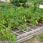 The Safety of Materials Used for Building Raised Beds | University .