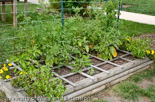 The Safety of Materials Used for Building Raised Beds | University .