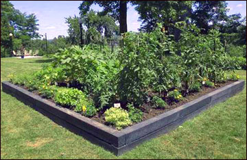 Raised-Bed Gardening | MU Extensi