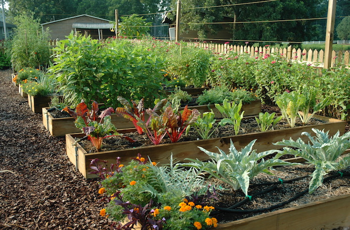 Raised Bed Garden from A - Z | What to Know | joe gardener