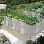 Raised-bed gardening - Wikiped