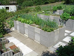 Raised-bed gardening - Wikiped