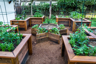 Raised Garden Bed On A Slope - Photos & Ideas | Hou