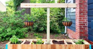 18 Raised Garden Bed Ideas at All Price Poin