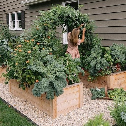raised-garden-bed-ideas.png