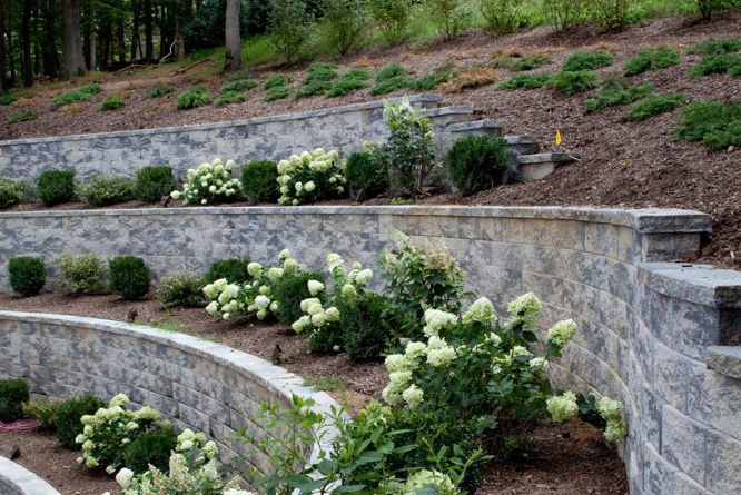 10 Stylish Planter Retaining Wall Design Ideas to Elevate Your .