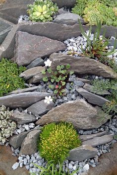 900+ Best Rock garden ideas | rock garden, garden design, rock .