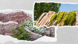 15 Rock Garden Ideas That Prove Your Yard Could Actually Benefit .