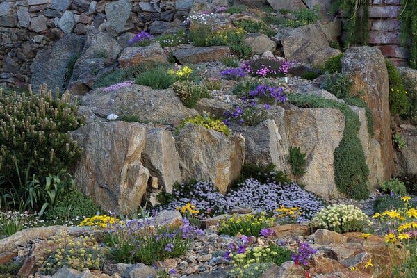 Why You Should Try Crevice Gardening: 'This Is the Future' - The .