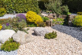 25 Rock Garden Plants for a Lovely Landscape Design | LoveToKn