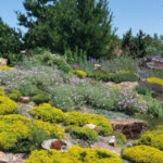 Rock Garden | The Gardens on Spring Cre
