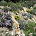 crevice gardens: brave new rock gardens, with kenton seth and paul .