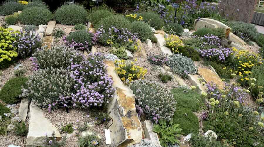 crevice gardens: brave new rock gardens, with kenton seth and paul .