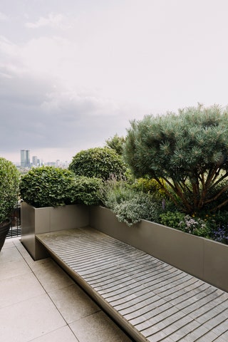 How to design a roof garden, according to a top garden designer .