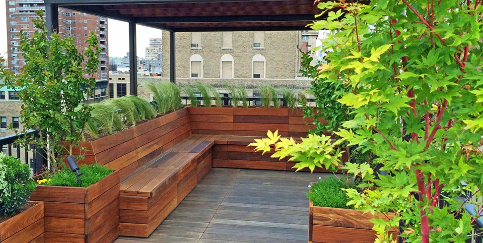 Guide to Rooftop Gardens | Garden Desi