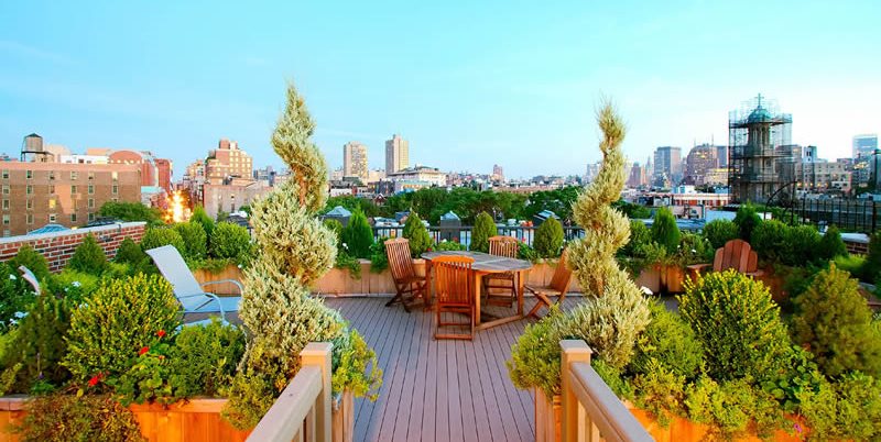 Guide to Rooftop Gardens | Garden Desi