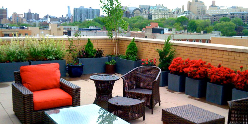 Guide to Rooftop Gardens | Garden Desi