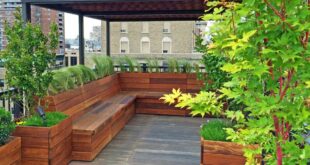 Guide to Rooftop Gardens | Garden Desi