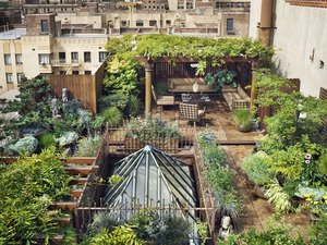 ALL ABOUT ROOF GARDENS — Todd Haiman Landscape Desi