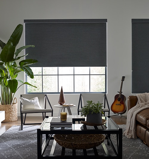 Levolor Roller Shades: Room Darkening | Blindsgalo