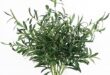 Elevate Your Space with Lifelike Fake Olive Branches