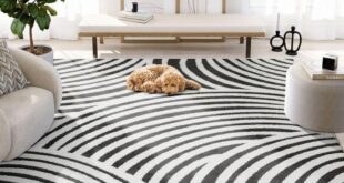 Stylish and Durable Rugs for Every Home Space