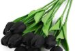 Elegant Black Tulips for Timeless Decor and Events