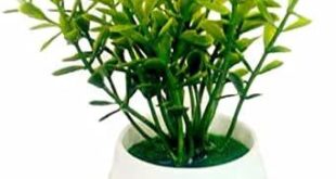 Elevate your decor with vibrant, lifelike artificial plants!