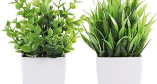 Beautiful artificial plants for effortless home decor