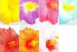 Artificial Floral Decor: Vibrant & Lifelike Options