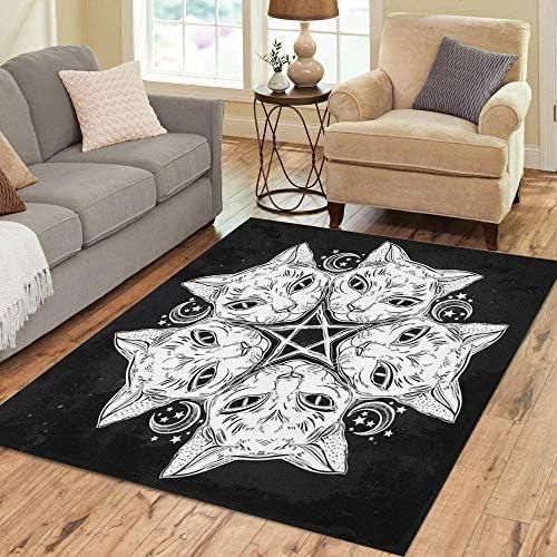 Distinctive Area Rugs for Every Home: Comfort & Style!